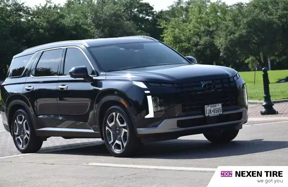 Hyundai Palisade-lg