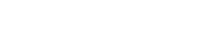 NEXEN ROADIAN CT8